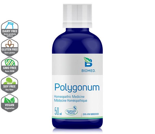 Polygonum 50 ml